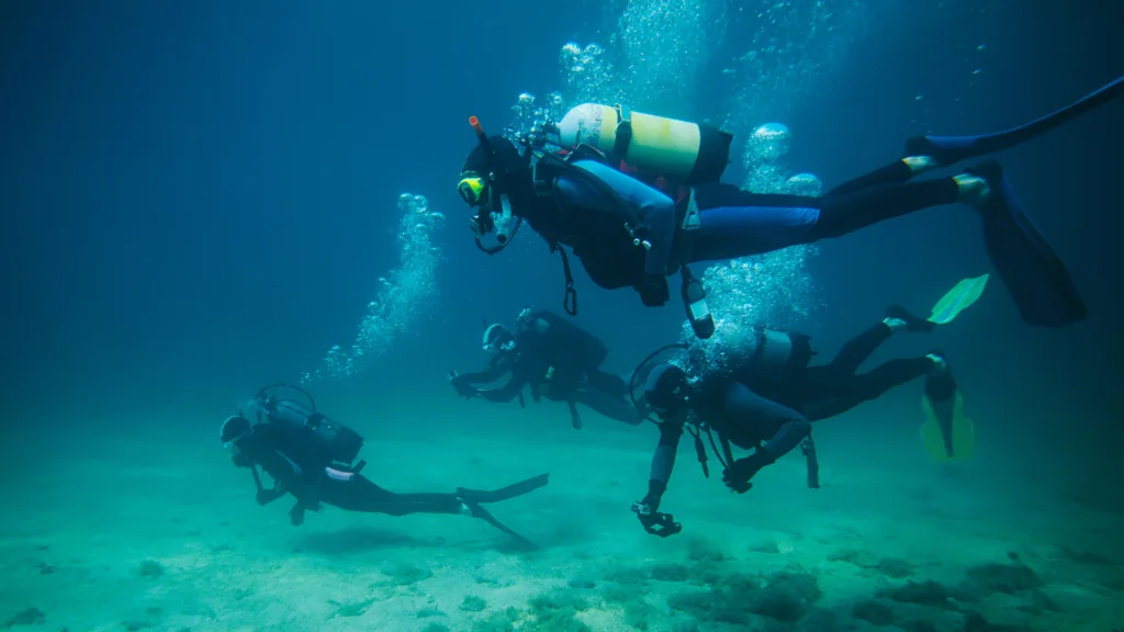 Eine Gruppe Taucher schwimmt dicht über dem sandigen Grund